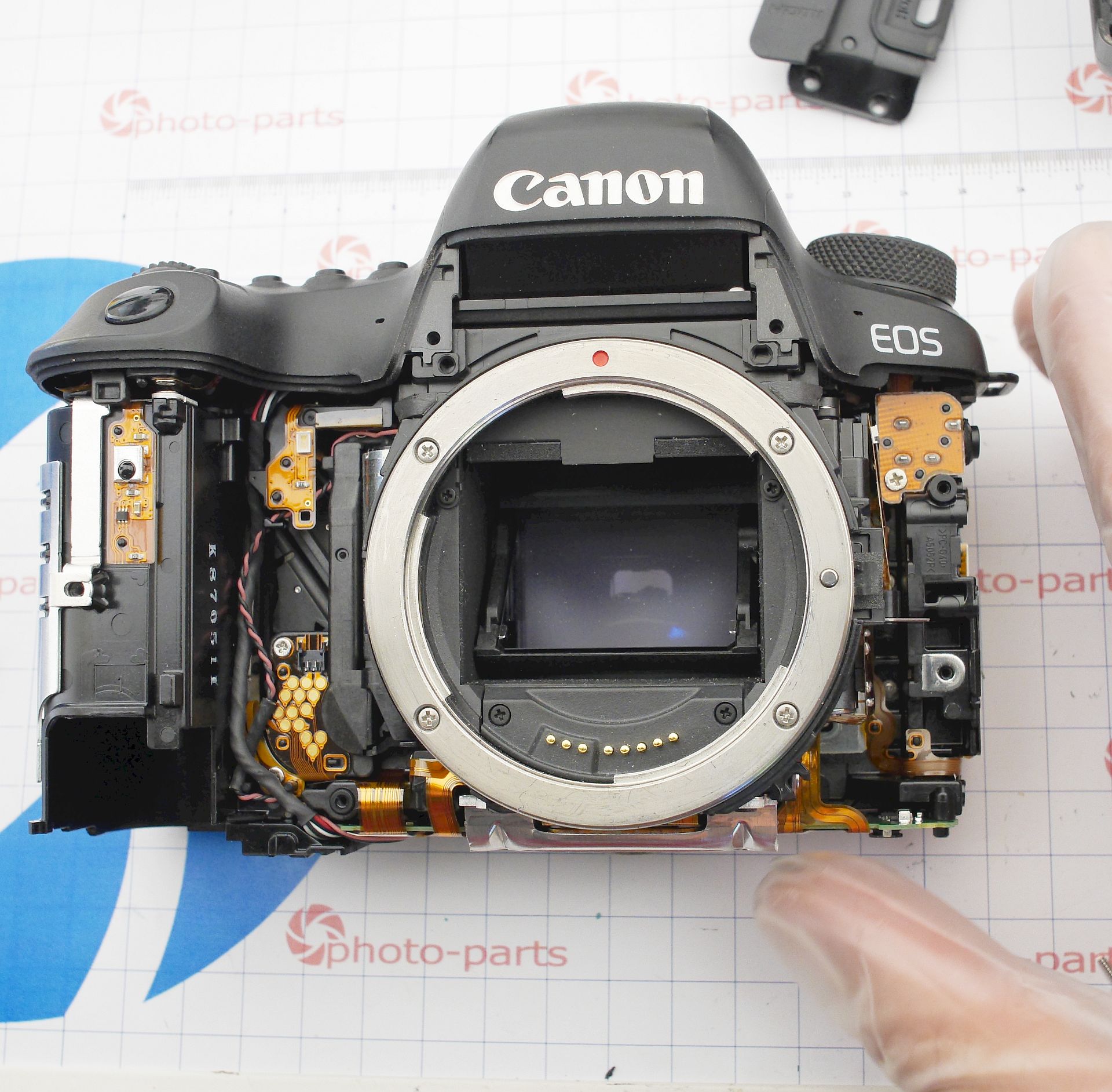 Canon 6D mark II - разборка с мистическим ремонтом после попадания воды